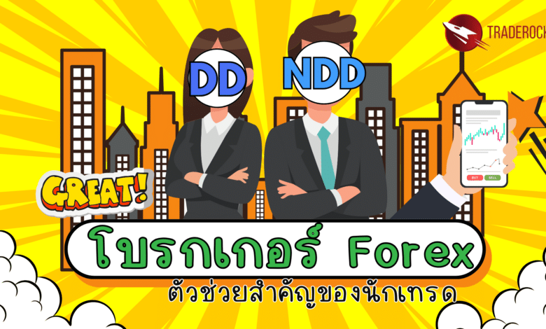 โบรกเกอร์ Forex: ตัวช่วยสำคัญของนักเทรด