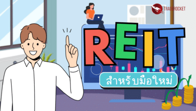 REIT สำหรับมือใหม่