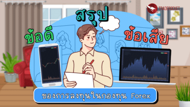 สรุปข้อดี-ข้อเสียของการลงทุน