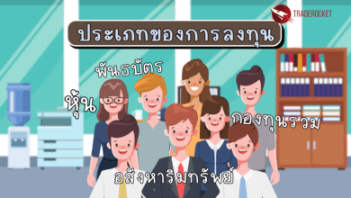 ประเภทของการลงทุน